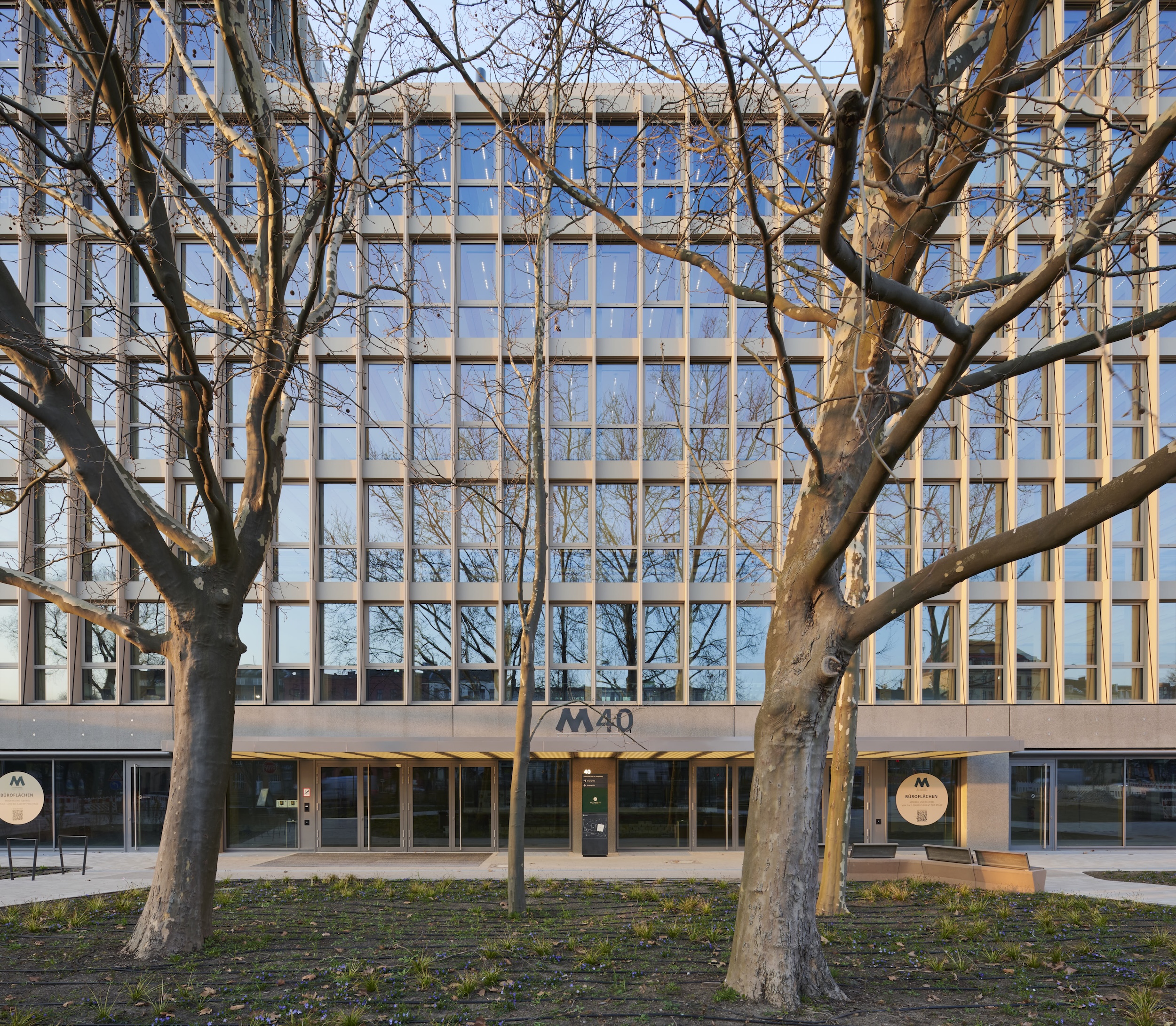 Moderne Bürofassade mit großen Glasfronten und Eingangsbereich, beschattet von Bäumen.
